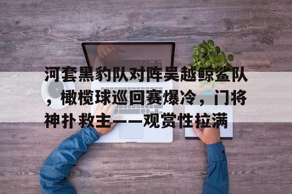 河套黑豹队对阵吴越鲸鲨队，橄榄球巡回赛爆冷，门将神扑救主——观赏性拉满的简单介绍爱游戏官方首页